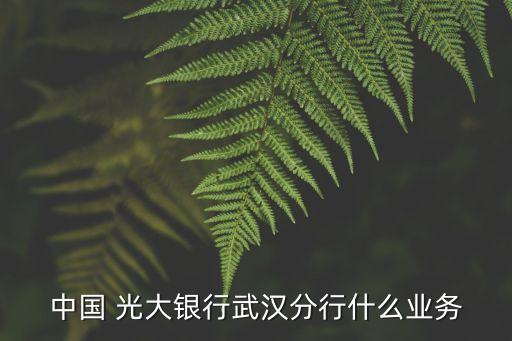 中國(guó)光大銀行可轉(zhuǎn)換公司債