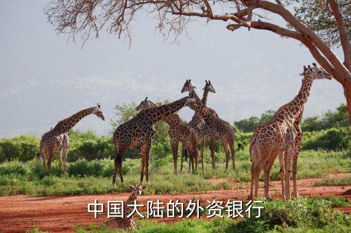 中國大陸的外資銀行