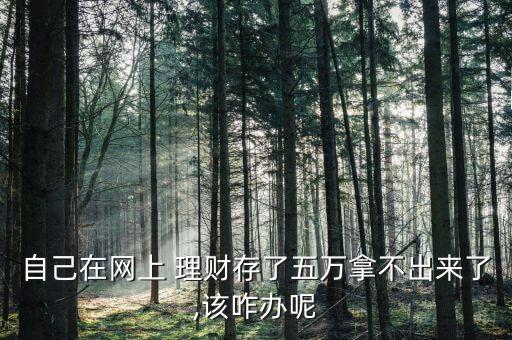 自己在網(wǎng)上 理財(cái)存了五萬(wàn)拿不出來(lái)了,該咋辦呢