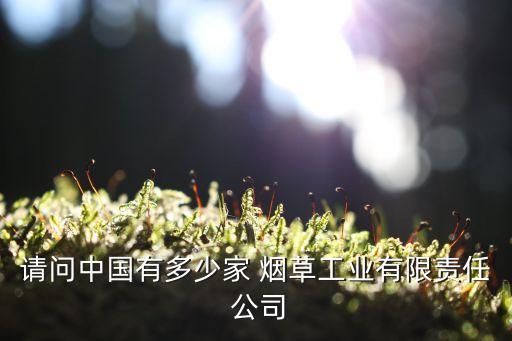 請問中國有多少家 煙草工業(yè)有限責(zé)任 公司