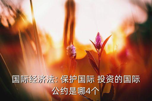 國際經(jīng)濟(jì)法: 保護(hù)國際 投資的國際公約是哪4個