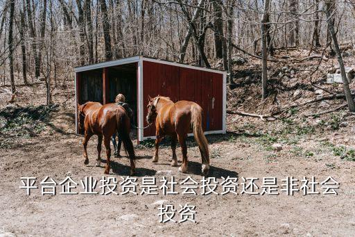 非地方融資平臺公司,地方融資平臺暴雷