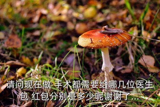 上海東方肝膽專家手術(shù)紅包給多少