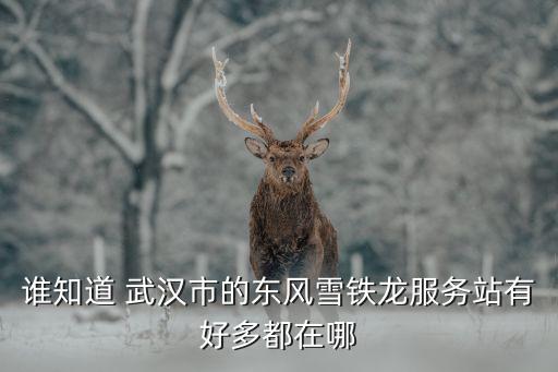 誰(shuí)知道 武漢市的東風(fēng)雪鐵龍服務(wù)站有好多都在哪