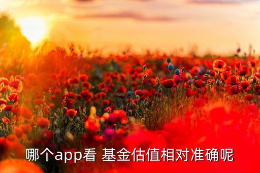 哪個app看 基金估值相對準(zhǔn)確呢