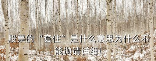  股票的“套住”是什么意思為什么不能拋請?jiān)敿?xì)!