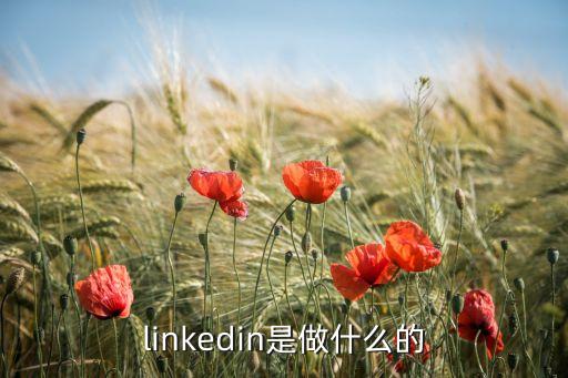 linkedin是做什么的