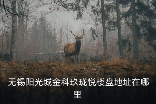  無錫陽(yáng)光城金科玖瓏悅樓盤地址在哪里