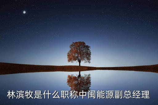 林濱牧是什么職稱中閩能源副總經(jīng)理