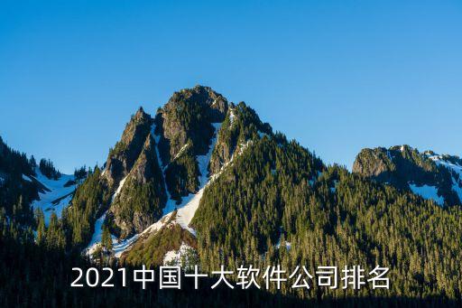 2021中國(guó)十大軟件公司排名