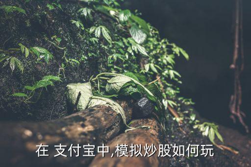 支付寶的股票怎么玩