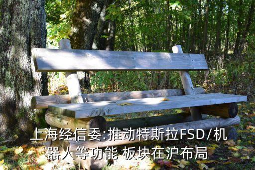  上海經(jīng)信委:推動(dòng)特斯拉FSD/機(jī)器人等功能 板塊在滬布局