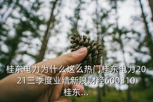 桂東電力為什么這么熱門桂東電力2021三季度業(yè)績新浪財(cái)經(jīng)600310桂東...