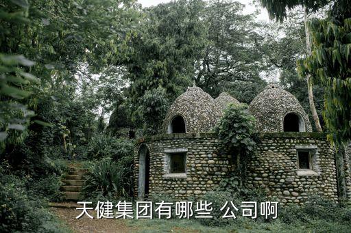 深圳市天健房地產(chǎn)開(kāi)發(fā)公司,河北天健房地產(chǎn)開(kāi)發(fā)有限公司