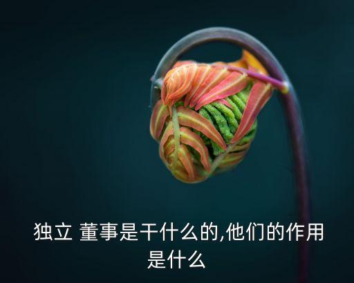  獨立 董事是干什么的,他們的作用是什么