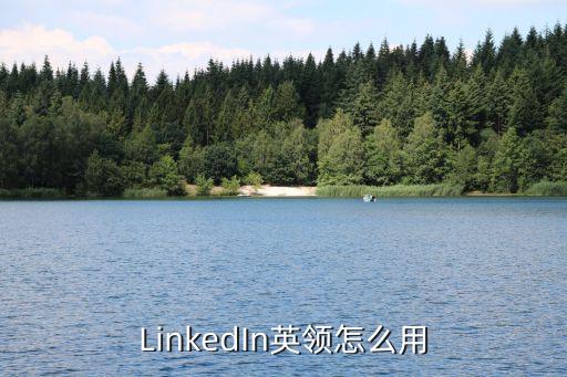 LinkedIn英領怎么用