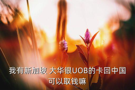 我有新加坡 大華銀UOB的卡回中國可以取錢嘛