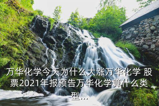 萬華化學(xué)今天為什么大漲萬華化學(xué) 股票2021年報預(yù)告萬華化學(xué)算什么類型...