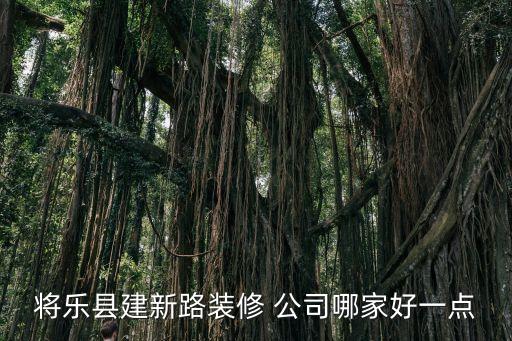 將樂(lè)縣建新路裝修 公司哪家好一點(diǎn)