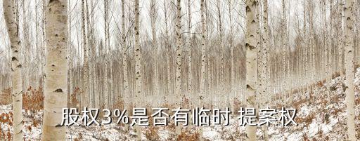 股權(quán)3%是否有臨時 提案權(quán)