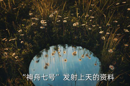 航天海鷹上海分公司,航天晨光上海分公司簡(jiǎn)介