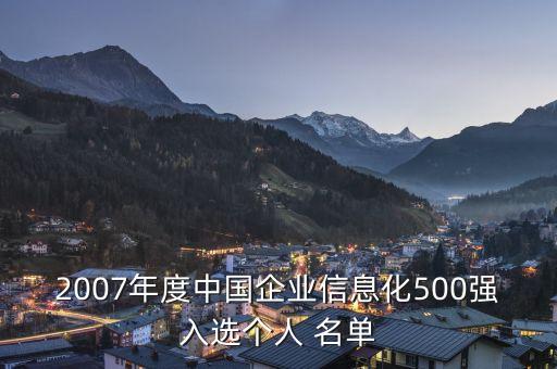 2007年度中國企業(yè)信息化500強入選個人 名單