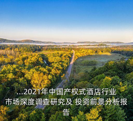 ...2021年中國產(chǎn)權(quán)式酒店行業(yè)市場深度調(diào)查研究及 投資前景分析報告