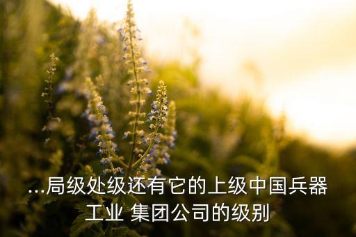 ...局級處級還有它的上級中國兵器工業(yè) 集團(tuán)公司的級別