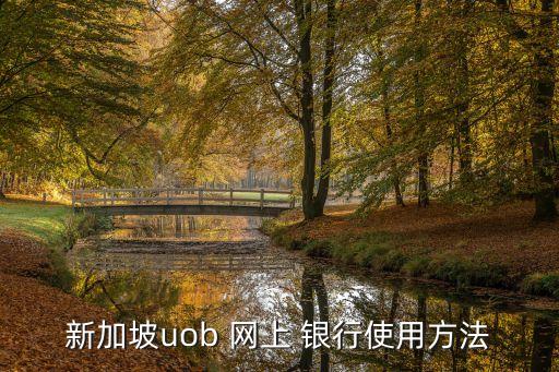 新加坡uob 網(wǎng)上 銀行使用方法