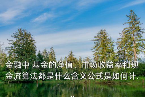 金融中 基金的凈值、市場收益率和現(xiàn)金流算法都是什么含義公式是如何計...