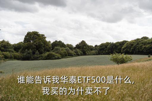 誰(shuí)能告訴我華泰ETF500是什么,我買的為什賣不了