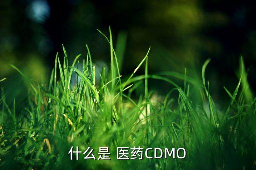 什么是 醫(yī)藥CDMO