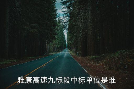 雅康高速九標(biāo)段中標(biāo)單位是誰