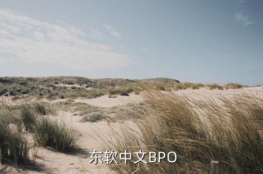  東軟中文BPO