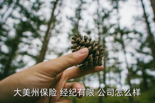 大美州保險(xiǎn) 經(jīng)紀(jì)有限 公司怎么樣