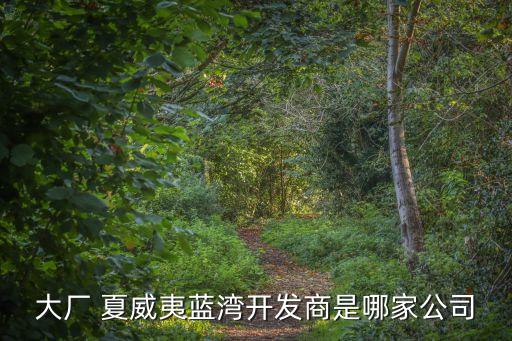 大廠 夏威夷藍灣開發(fā)商是哪家公司