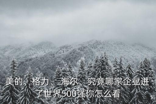 美的、格力、 海爾、究竟哪家企業(yè)進了世界500強你怎么看