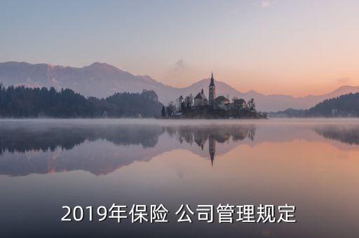 2019年保險(xiǎn) 公司管理規(guī)定