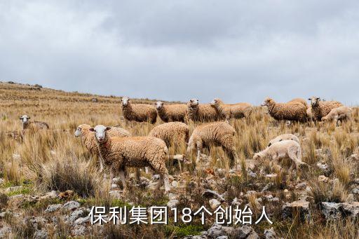  保利集團18個創(chuàng)始人