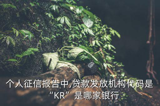 個(gè)人征信報(bào)告中,貸款發(fā)放機(jī)構(gòu)代碼是“KR”是哪家銀行