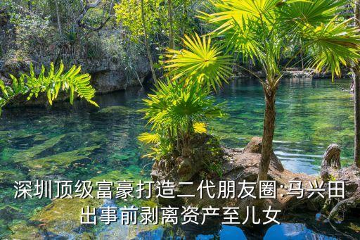 深圳頂級(jí)富豪打造二代朋友圈:馬興田出事前剝離資產(chǎn)至兒女