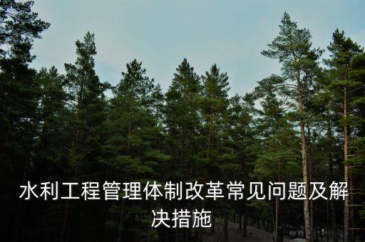  水利工程管理體制改革常見問題及解決措施