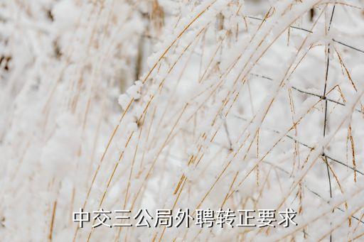  中交三公局外聘轉(zhuǎn)正要求