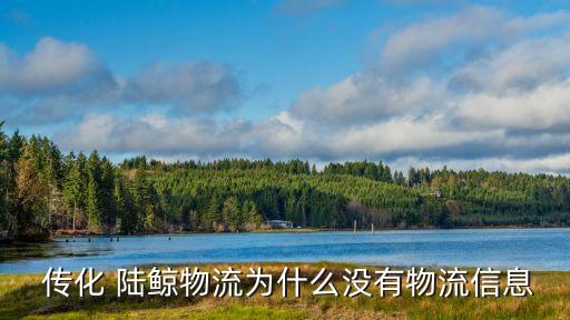  傳化 陸鯨物流為什么沒(méi)有物流信息