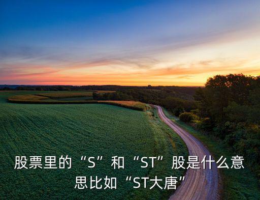 股票里的“S”和“ST”股是什么意思比如“ST大唐”