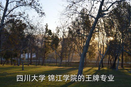 四川大學(xué) 錦江學(xué)院的王牌專業(yè)