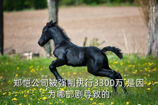 鄭愷公司被強制執(zhí)行3300萬,是因為哪部劇導(dǎo)致的