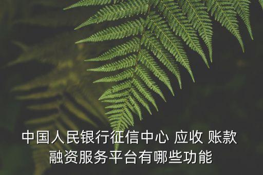 中國人民銀行征信中心 應(yīng)收 賬款 融資服務(wù)平臺有哪些功能