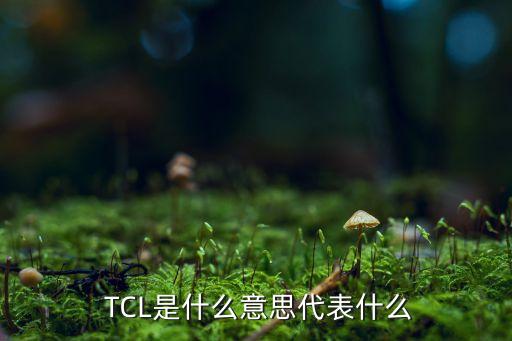  TCL是什么意思代表什么