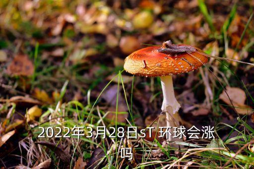 2022年3月28日sT 環(huán)球會漲嗎